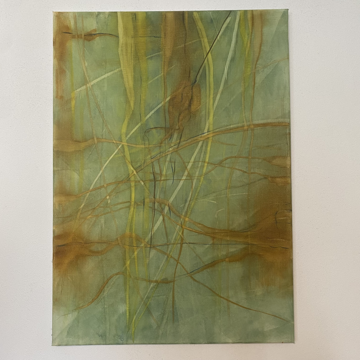 Kořeny větru - obraz olej na plátně